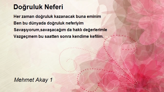 Mehmet Akay 1