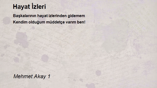 Mehmet Akay 1