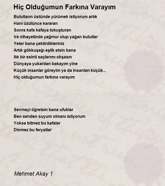 Mehmet Akay 1