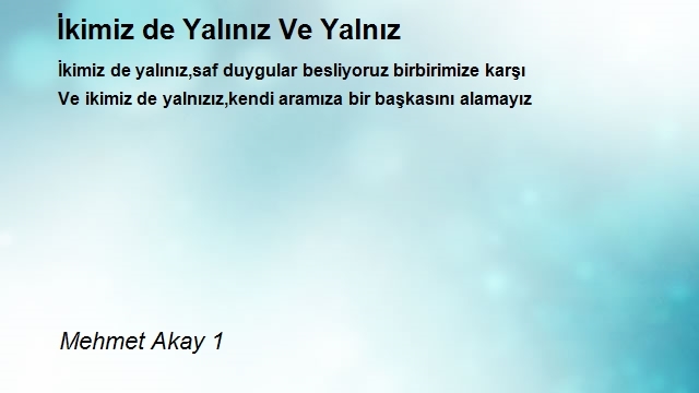 Mehmet Akay 1