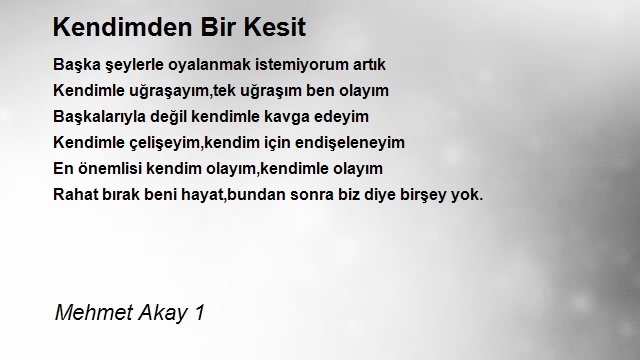 Mehmet Akay 1