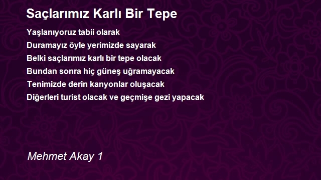 Mehmet Akay 1