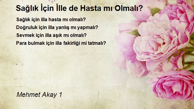 Mehmet Akay 1