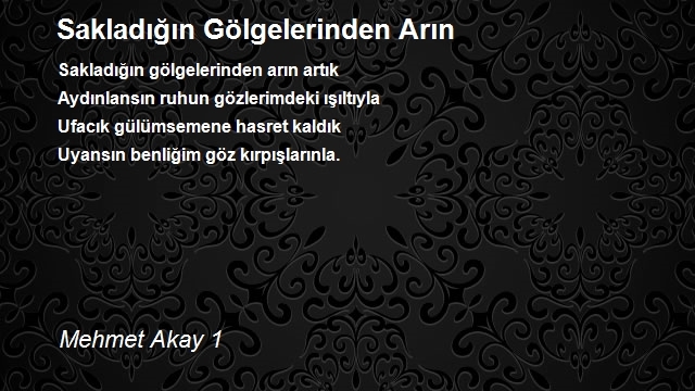 Mehmet Akay 1