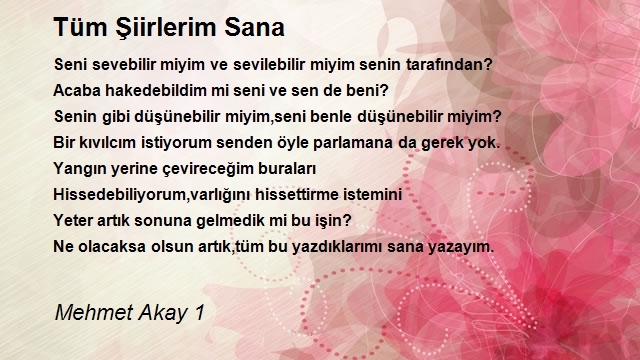 Mehmet Akay 1