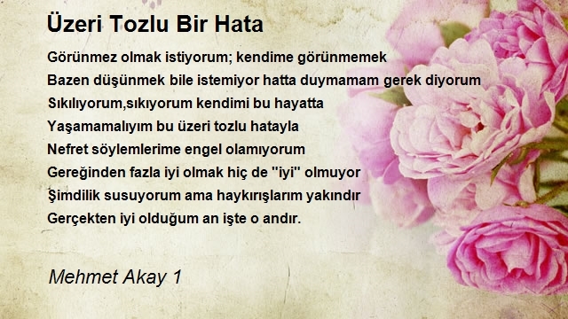 Mehmet Akay 1