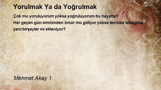 Mehmet Akay 1