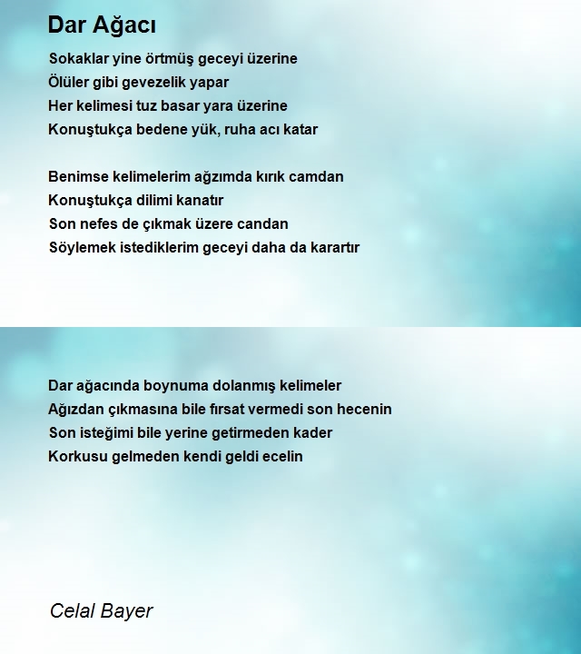 Celal Bayer