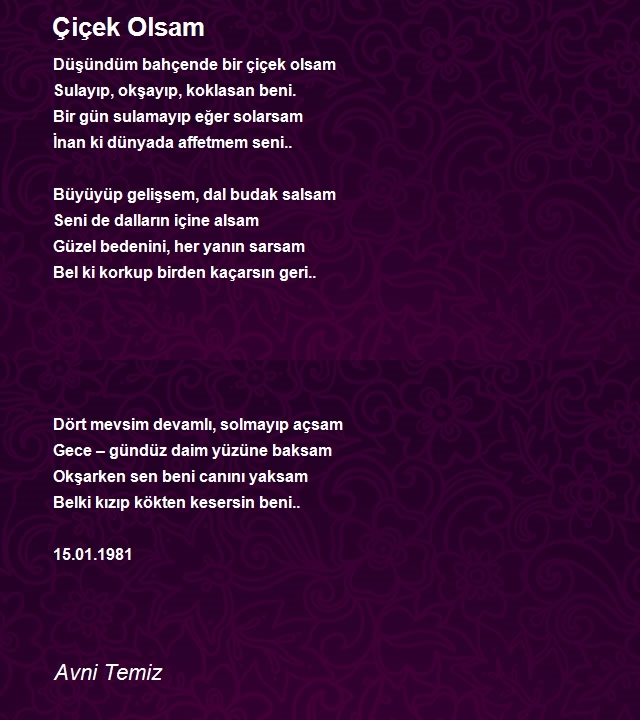 Avni Temiz