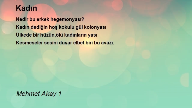 Mehmet Akay 1