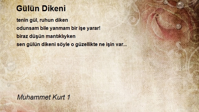 Muhammet Kurt 1