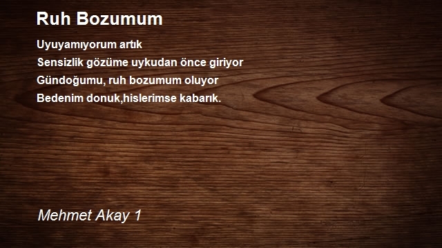 Mehmet Akay 1