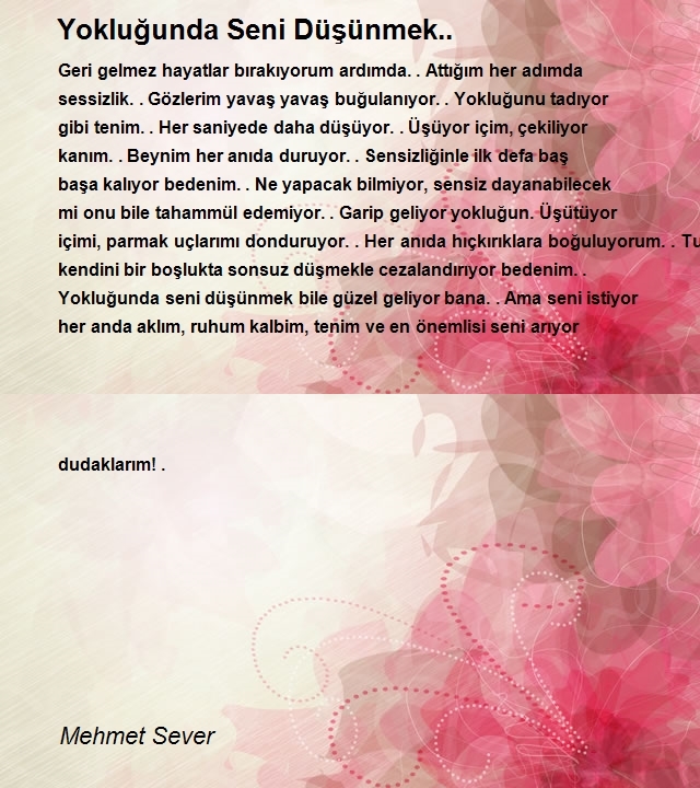 Mehmet Sever