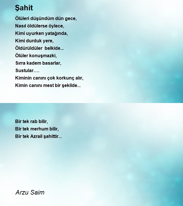 Arzu Saim