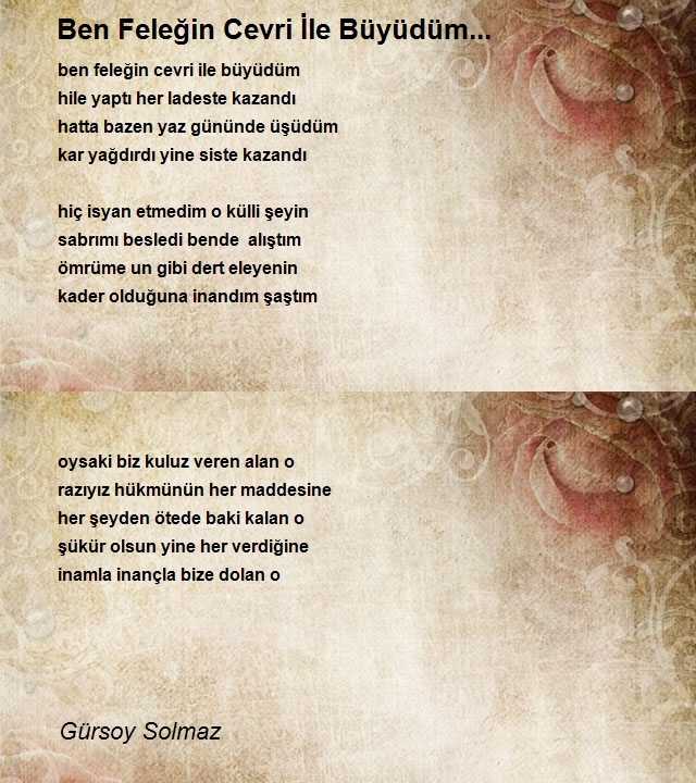 Gürsoy Solmaz