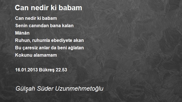 Gülşah Süder Uzunmehmetoğlu