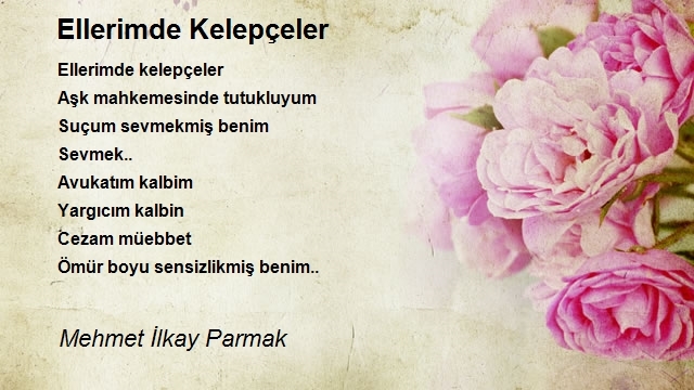 Mehmet İlkay Parmak