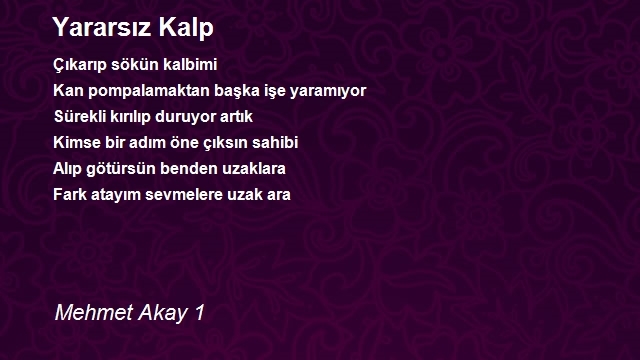 Mehmet Akay 1