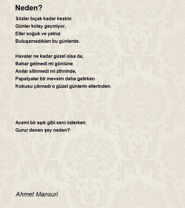 Ahmet Mansuri