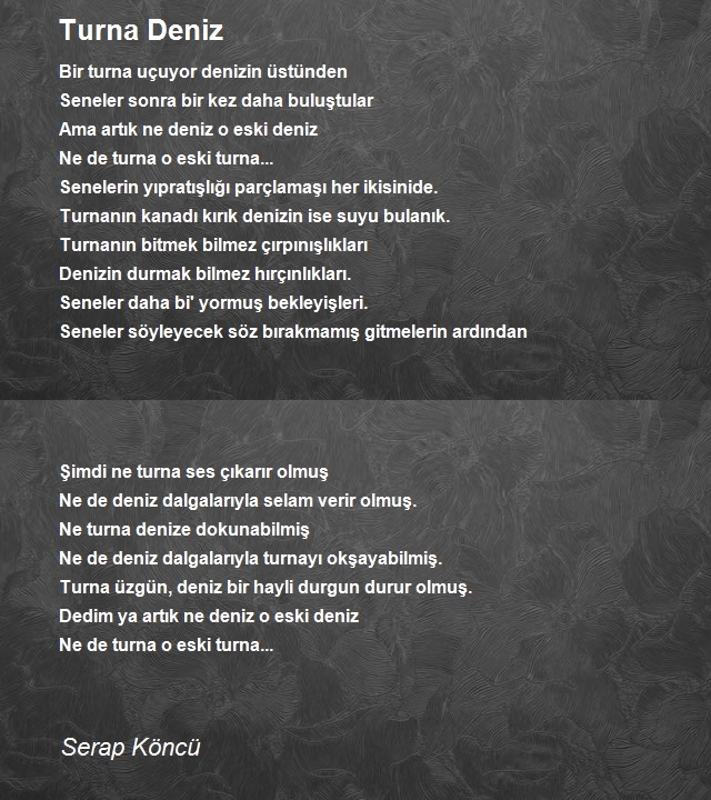 Serap Köncü