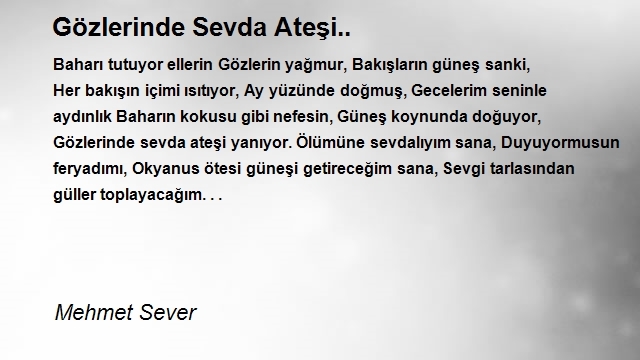 Mehmet Sever