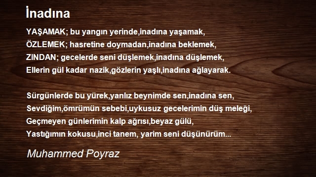 Muhammed Poyraz