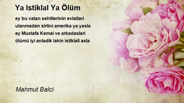 Mahmut Balci