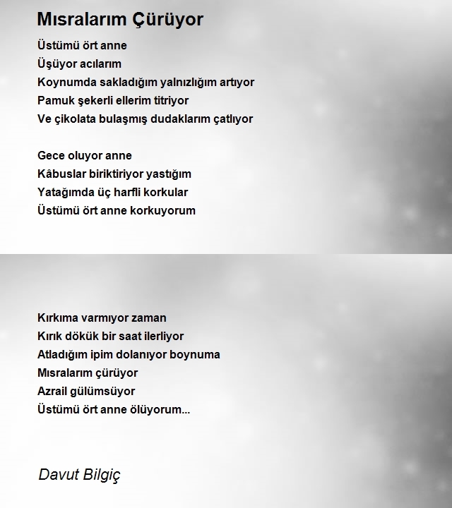 Davut Bilgiç