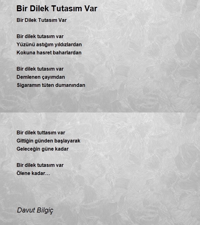 Davut Bilgiç