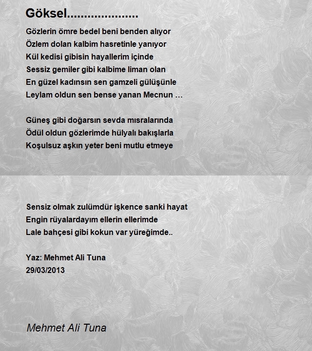 Mehmet Ali Tuna