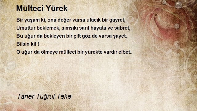 Taner Tuğrul Teke