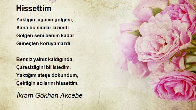 İkram Gökhan Akcebe