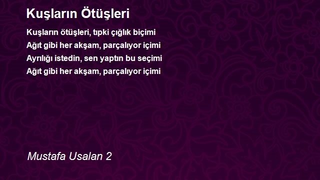 Mustafa Usalan 2