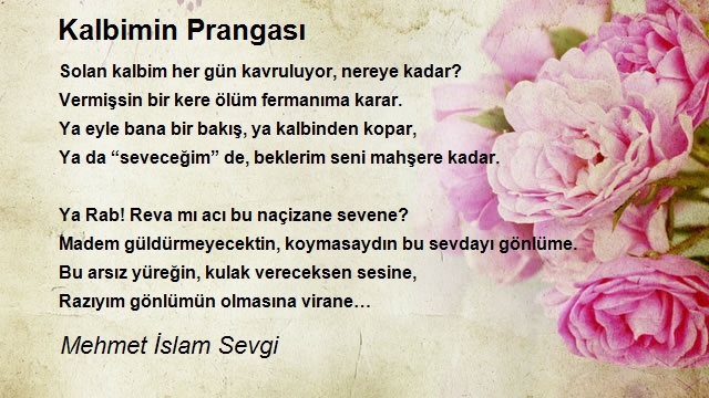 Mehmet İslam Sevgi