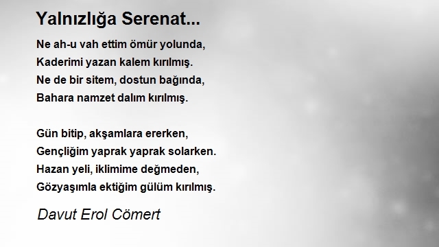 Davut Erol Cömert