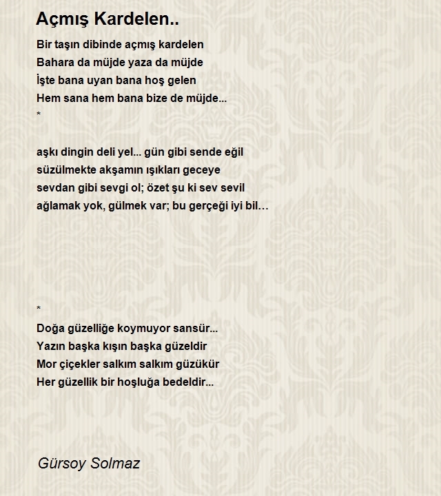 Gürsoy Solmaz