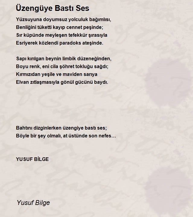 Yusuf Bilge