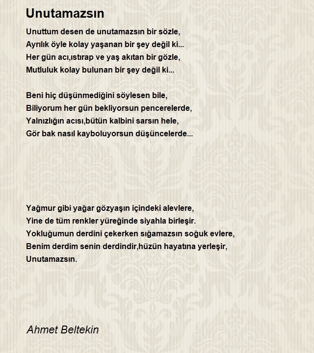 Ahmet Beltekin