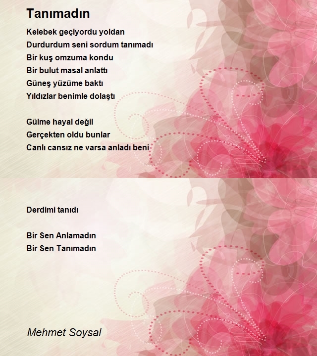 Mehmet Soysal