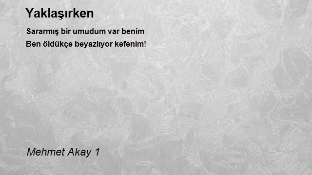 Mehmet Akay 1