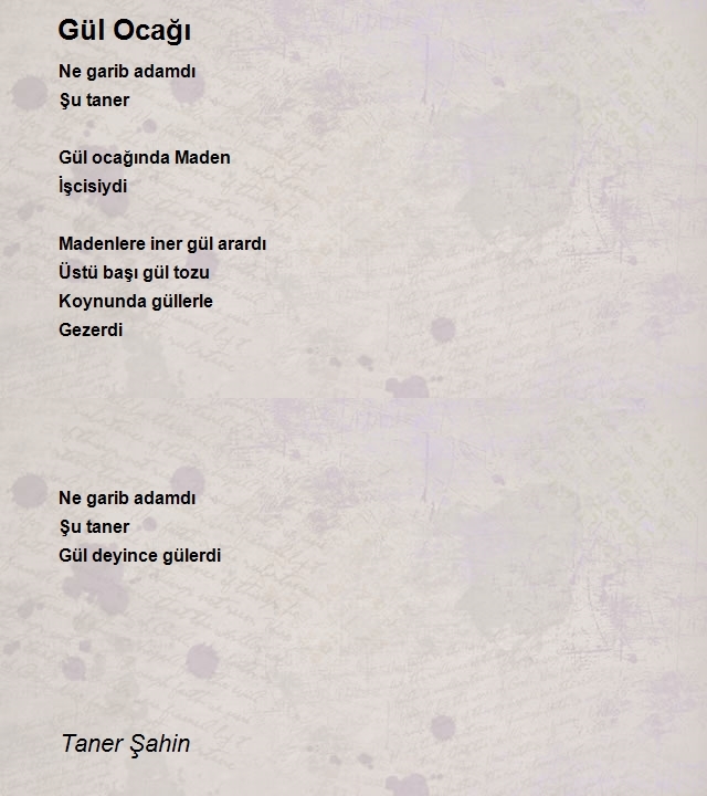 Taner Şahin