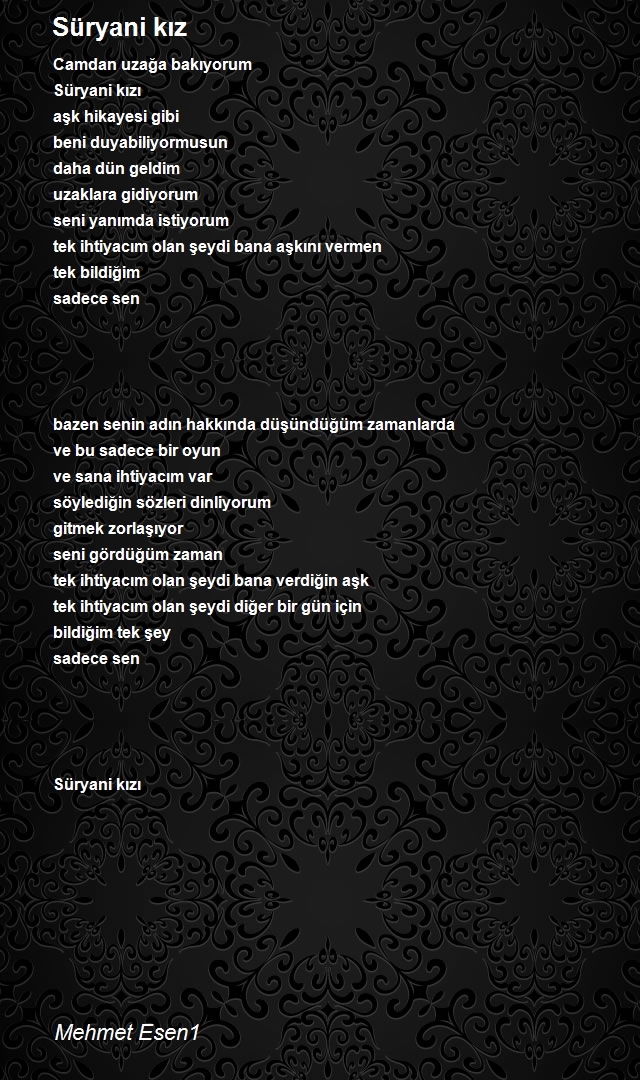 Mehmet Esen1