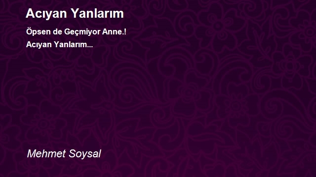 Mehmet Soysal