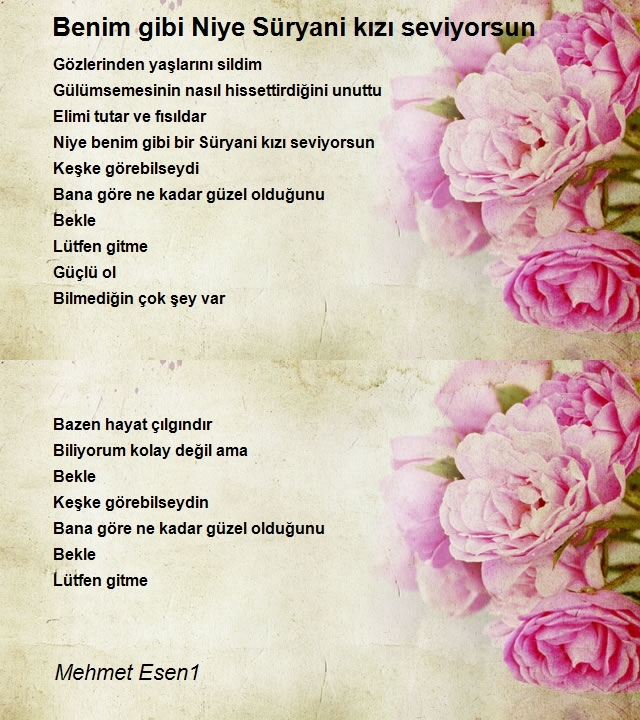 Mehmet Esen1