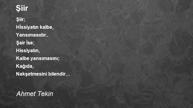 Ahmet Tekin