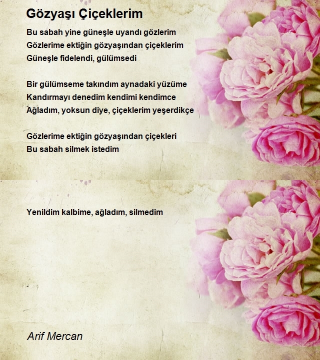 Arif Mercan