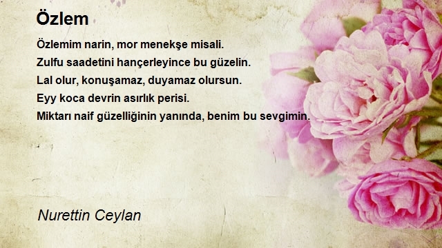 Nurettin Ceylan