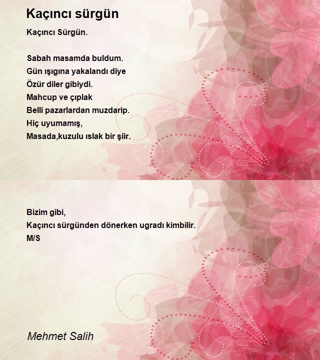 Mehmet Salih