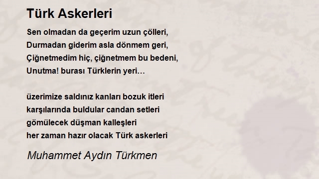 Muhammet Aydın Türkmen