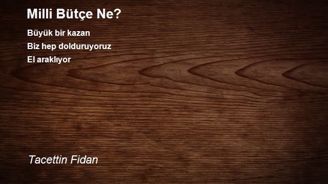 Tacettin Fidan